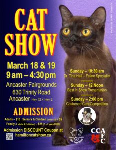 Cat Show @ Ancaster Fairgrounds Marritt Hall